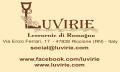 Luvirie Leccornie di Romagna